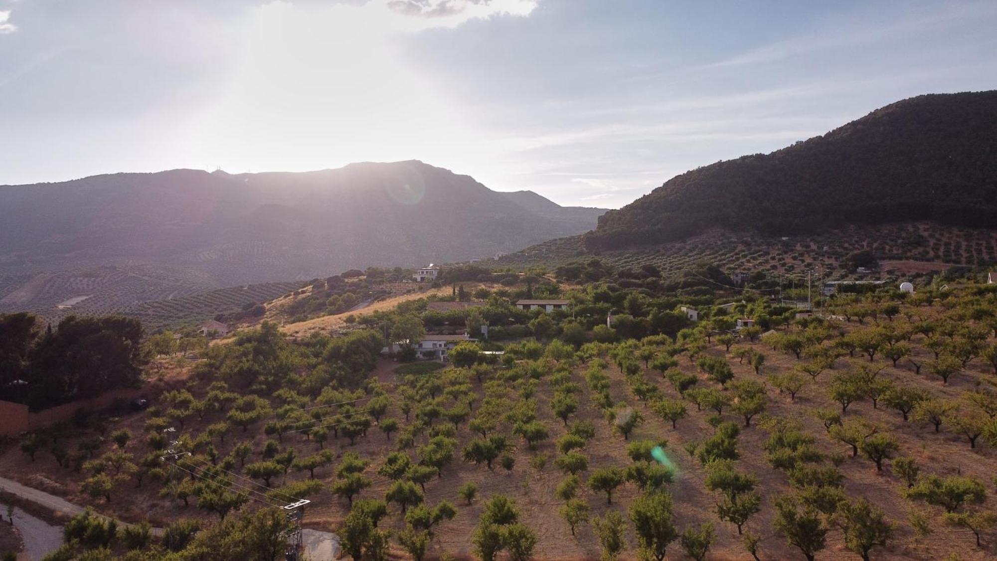 Villa Canela Illora Exteriér fotografie